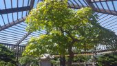 20160805_135246