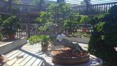 20160805_135718