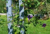 20160805_140010