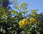 20160805_145025