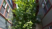 20160809_122355