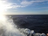 DSC03695