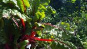 20160930_124257