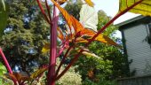20160930_124528