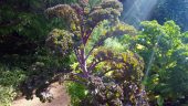 20160930_124648