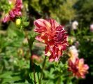 20160930_163927