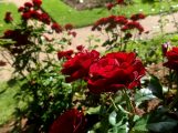 20160930_211348