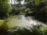 DSC03771