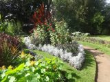 DSC03796