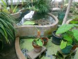 DSC03975