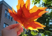 IMG_20211008_124643_544