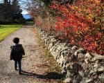 Photo-Dec-02-12-44-52-PM