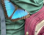 IMG_20241014_080200